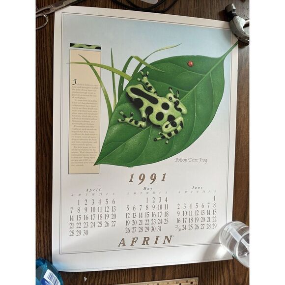 Vintage 1991 Poison Dart Frog Pharmacy History Pharmacist Poster Afrin Promo